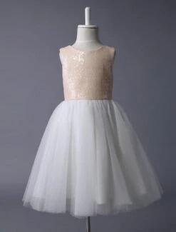 Champagne Flower Girl Dress Sequin Tulle Pageant Dress A Line Knee Length Toddler's Dinner Dress With Bow Sash -AYA Cosplay Shop 07d83ef2 a480 4840 bf12 3cdee85d54f1