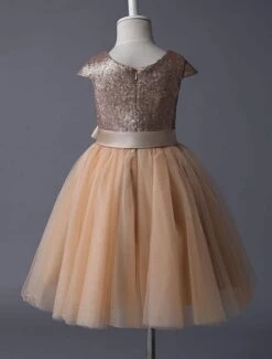 Flower Girl Dresses Champagne Sequined Tutu Pageant Dress Toddlers Cap Sleeves Tulle Short Kids Party Dresses -AYA Cosplay Shop 1c3c92b1 6d47 4e9e a807 9a2d7ef4dc88