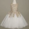 Flower Girl Dress Lace Light Gold Tutu Dress Sleeveless A Line Knee Length Toddler's Pageant Dress -AYA Cosplay Shop 201703091659199853182