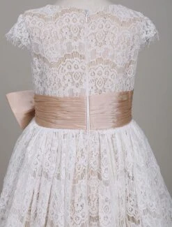 Flower Girl Dresses Lace Champagne Short Sleeve Bow Sash A Line Formal Party Dress For Girls Free Customization -AYA Cosplay Shop 201710231800009717708