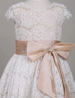 Flower Girl Dresses Lace Champagne Short Sleeve Bow Sash A Line Formal Party Dress For Girls Free Customization -AYA Cosplay Shop 201710231800021095864
