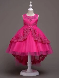 Flower Girl Dresses Baby Blue Lace Tulle Princess Tutu Embroidered Kids Ball Gown Dress -AYA Cosplay Shop 201712201120252059571