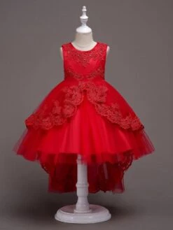 Flower Girl Dresses Baby Blue Lace Tulle Princess Tutu Embroidered Kids Ball Gown Dress -AYA Cosplay Shop 201712201120429883868