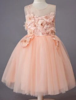 Wedding Flower Girl Dress Lace Tulle Sleeveless Princess Kids Dinner Party Dresses