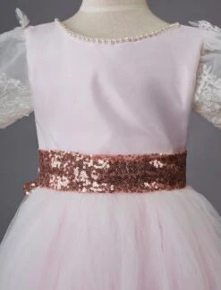 Wedding Flower Girl Dress Short Pink Sleeve Lace Kids Social Party Dress -AYA Cosplay Shop 201906191623397195378