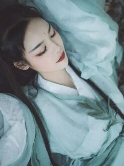 Chinese Style Lolita Dress 2-Piece Set Pale Green Long Sleeve Polyester Lolita Dress Outfit -AYA Cosplay Shop 202112291144540156560