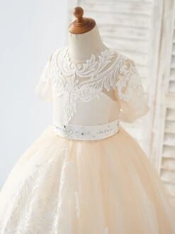 Flower Girl Dress Tulle Sash Jewel Neck Short Sleeves Champagne Free Customization -AYA Cosplay Shop 202205191947561743063