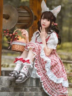 Sweet Lolita Dress Polyester Sleeveless Sweet Dress Lolita Dress -AYA Cosplay Shop 202205311719280823433