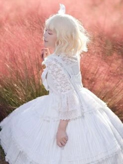 Goth Lolita Jsk Dress -AYA Cosplay Shop 202211071146378388313