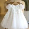 Wedding Party Dresses Wedding Beautiful Wedding Flower Girl Dress Flower Girl Dresses Formal Party Dress Short Sleeves Lace Ivory -AYA Cosplay Shop 202309191649310293490