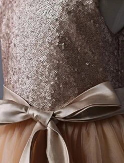 Flower Girl Dresses Champagne Sequined Tutu Pageant Dress Toddlers Cap Sleeves Tulle Short Kids Party Dresses -AYA Cosplay Shop 34fe070e 598e 4425 9020 c09259840888