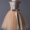 Flower Girl Dresses Champagne Sequined Tutu Pageant Dress Toddlers Cap Sleeves Tulle Short Kids Party Dresses -AYA Cosplay Shop 4cf85cbf baa8 4577 aee5 b1f3a3734dc9