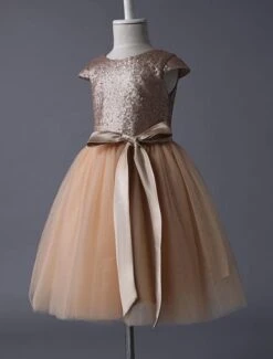 Flower Girl Dresses Champagne Sequined Tutu Pageant Dress Toddlers Cap Sleeves Tulle Short Kids Party Dresses -AYA Cosplay Shop a256f122 cf07 4d1f a833 823c3291b5d0