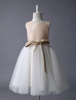 Champagne Flower Girl Dress Sequin Tulle Pageant Dress A Line Knee Length Toddler's Dinner Dress With Bow Sash